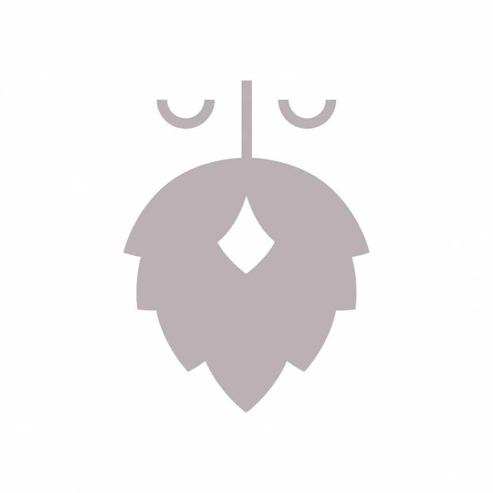 Hopfius Bierklassiker 3 (18er Karton)