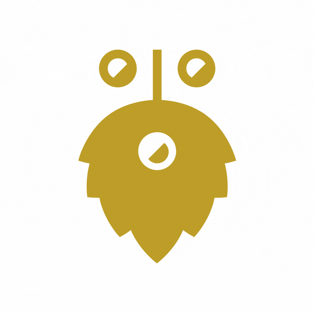 Hopfius Bierklassiker 1 (18er Karton)